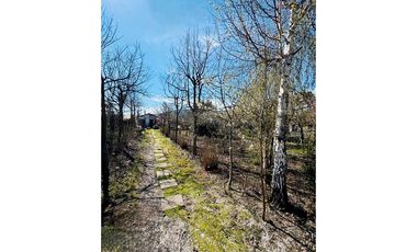 Venta, de Terreno  10.017m2, en  Coronel