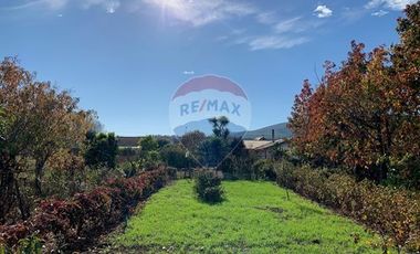 Venta, de Terreno  10.017m2, en  Coronel