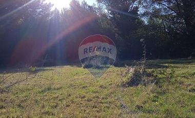 Parcela Orilla Carretera Villarrica - Panguipulli