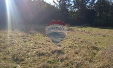 Parcela Orilla Carretera Villarrica - Panguipulli