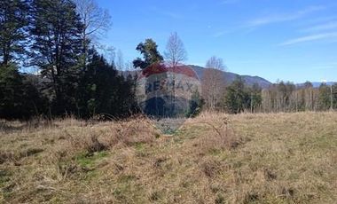 Parcela Orilla Carretera Villarrica - Panguipulli