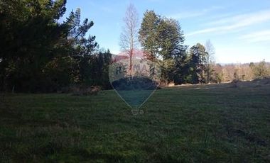 Parcela Orilla Carretera Villarrica - Panguipulli