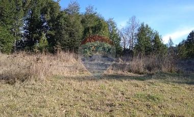 Parcela Orilla Carretera Villarrica - Panguipulli