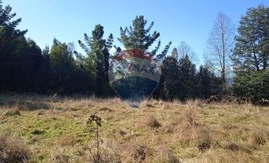 Parcela Orilla Carretera Villarrica - Panguipulli