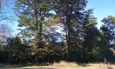Parcela Orilla Carretera Villarrica - Panguipulli