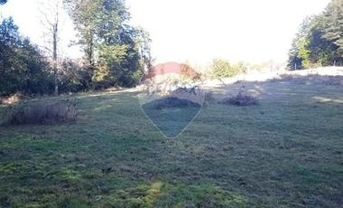 Parcela Orilla Carretera Villarrica - Panguipulli