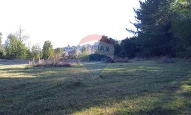 Parcela Orilla Carretera Villarrica - Panguipulli