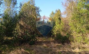 Parcela Orilla Carretera Villarrica - Panguipulli