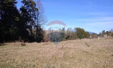 Parcela Orilla Carretera Villarrica - Panguipulli