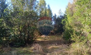 Parcela Orilla Carretera Villarrica - Panguipulli