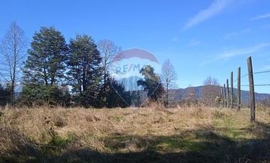 Parcela Orilla Carretera Villarrica - Panguipulli