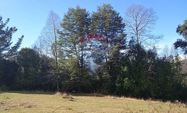 Parcela Orilla Carretera Villarrica - Panguipulli