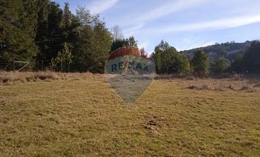 Parcela Orilla Carretera Villarrica - Panguipulli