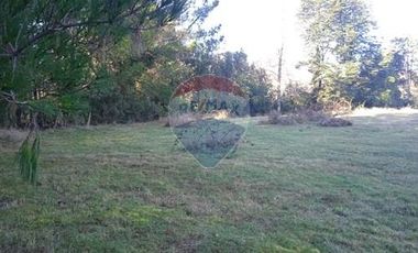 Parcela Orilla Carretera Villarrica - Panguipulli