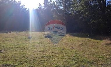 Parcela Orilla Carretera Villarrica - Panguipulli