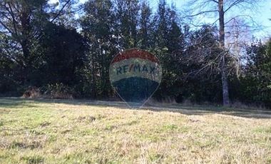 Parcela Orilla Carretera Villarrica - Panguipulli