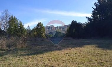 Parcela Orilla Carretera Villarrica - Panguipulli