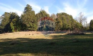 Parcela Orilla Carretera Villarrica - Panguipulli