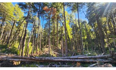 Terreno en venta 69 parcelas con ROL Curarrehue