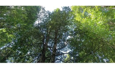 Terreno en venta 69 parcelas con ROL Curarrehue