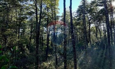 Terreno en venta 69 parcelas con ROL Curarrehue