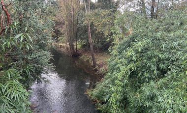 Propiedad Comercial en Venta -Pucón