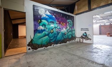 Atención Inversionistas Oportunidad en Recoleta