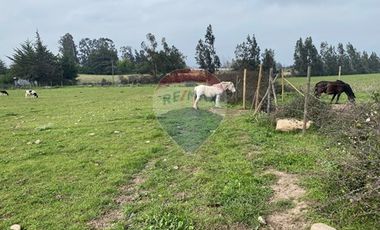 Parcela Valle Alegre Inversión o Proyecto Familiar