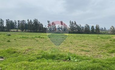 Parcela Valle Alegre Inversión o Proyecto Familiar