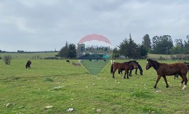 Parcela Valle Alegre Inversión o Proyecto Familiar