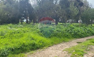 Parcela Valle Alegre Inversión o Proyecto Familiar