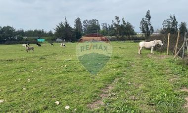 Parcela Valle Alegre Inversión o Proyecto Familiar