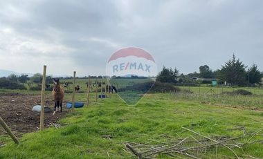 Parcela Valle Alegre Inversión o Proyecto Familiar