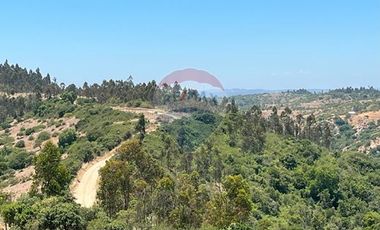 ¡Terreno de 35, 36 hectáreas en Navidad!