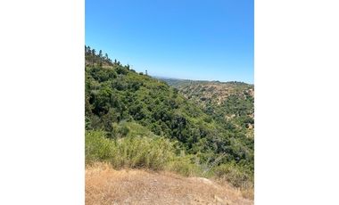 ¡Terreno de 35, 36 hectáreas en Navidad!