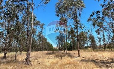¡Terreno de 35, 36 hectáreas en Navidad!