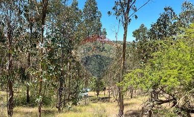 ¡Terreno de 35, 36 hectáreas en Navidad!