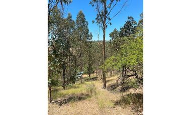 ¡Terreno de 35, 36 hectáreas en Navidad!