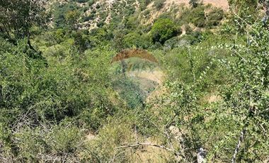 ¡Terreno de 35, 36 hectáreas en Navidad!