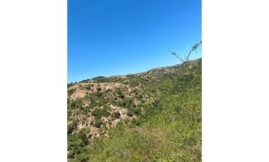 ¡Terreno de 35, 36 hectáreas en Navidad!