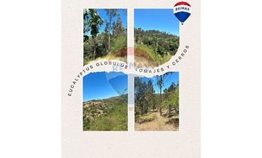 ¡Terreno de 35, 36 hectáreas en Navidad!