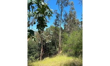 ¡Terreno de 35, 36 hectáreas en Navidad!