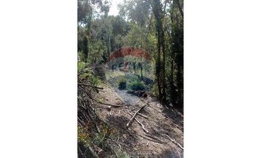 VENTA DE CAMPO EN CALBUCO