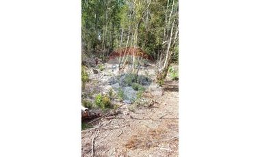 VENTA DE CAMPO EN CALBUCO