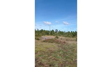 VENTA DE CAMPO EN CALBUCO