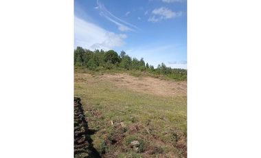 VENTA DE CAMPO EN CALBUCO