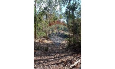 VENTA DE CAMPO EN CALBUCO