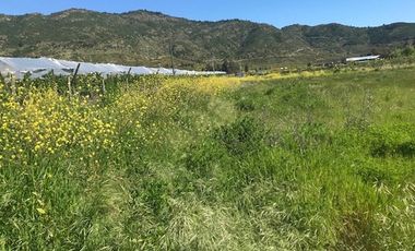 Parcela de Agrado 5.000 m² en La Patagua