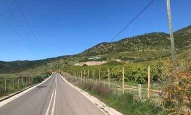 Parcela de Agrado 5.000 m² en La Patagua