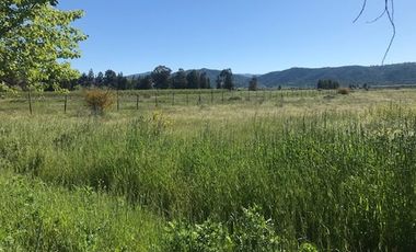 Parcela de Agrado 5.000 m² en La Patagua